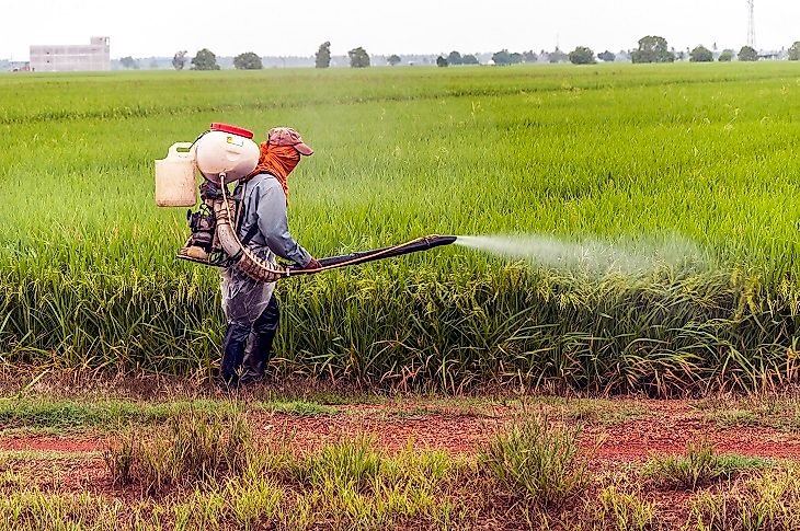 Pesticide Industry